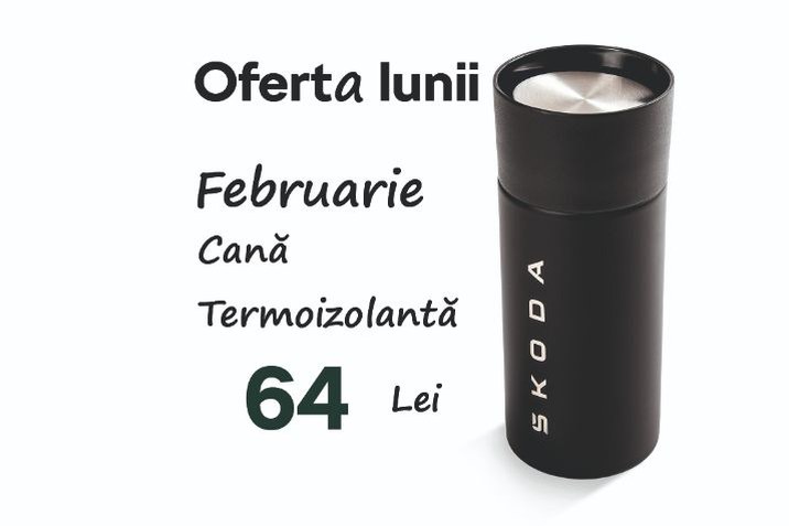 Oferta lunii