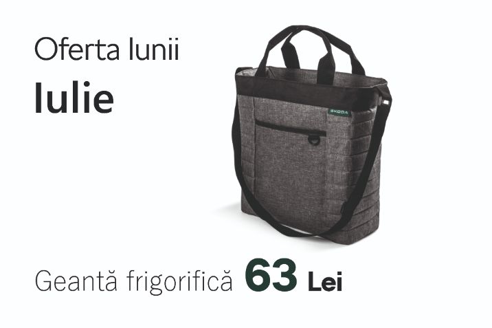 Oferta lunii