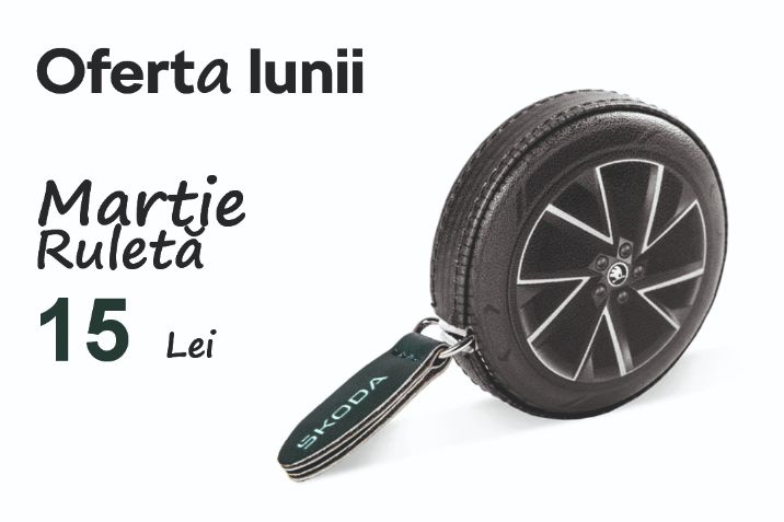 Oferta lunii