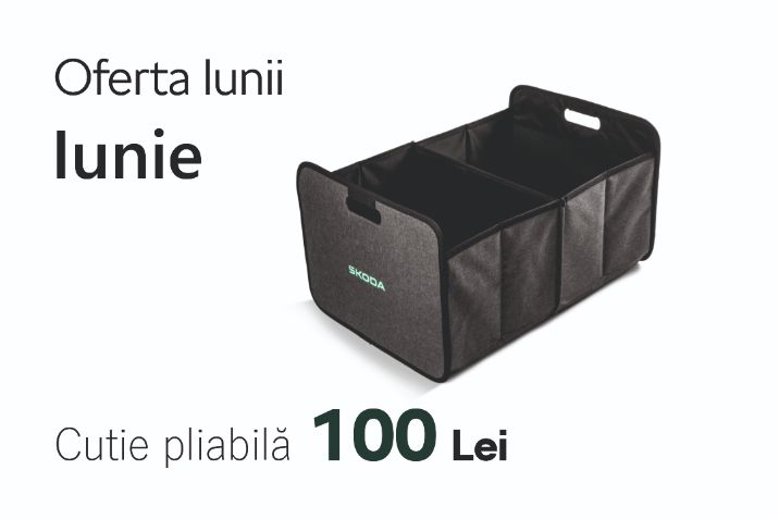 Oferta lunii