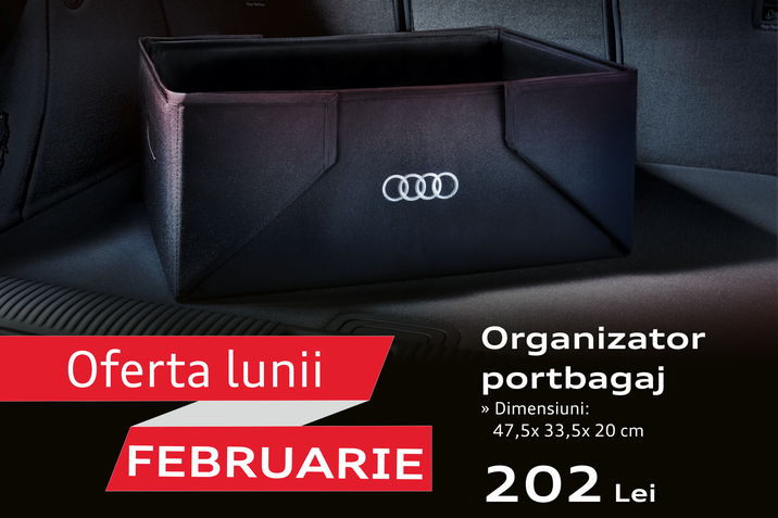 Oferta lunii