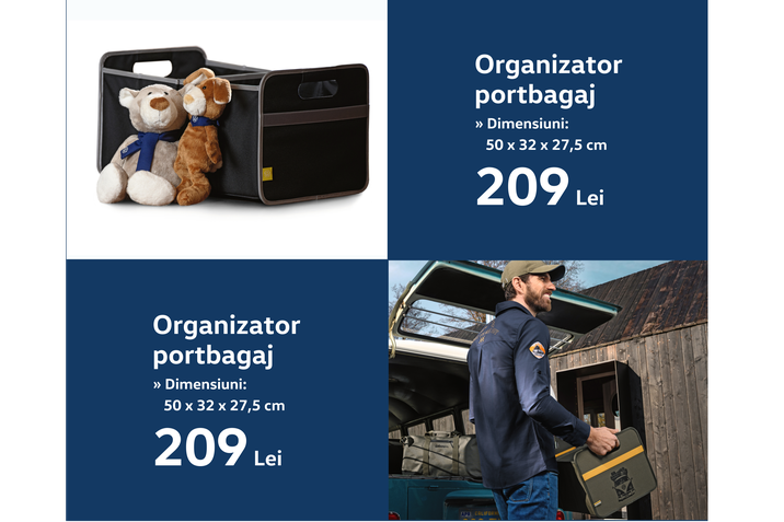Oferta lunii