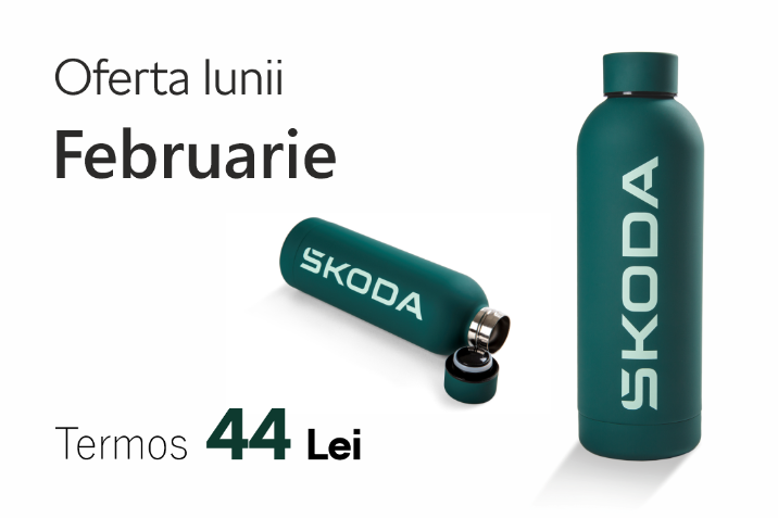 Oferta lunii