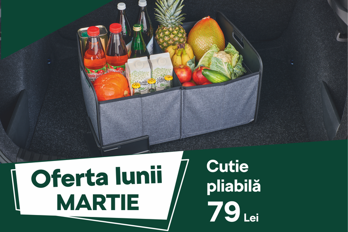Oferta lunii