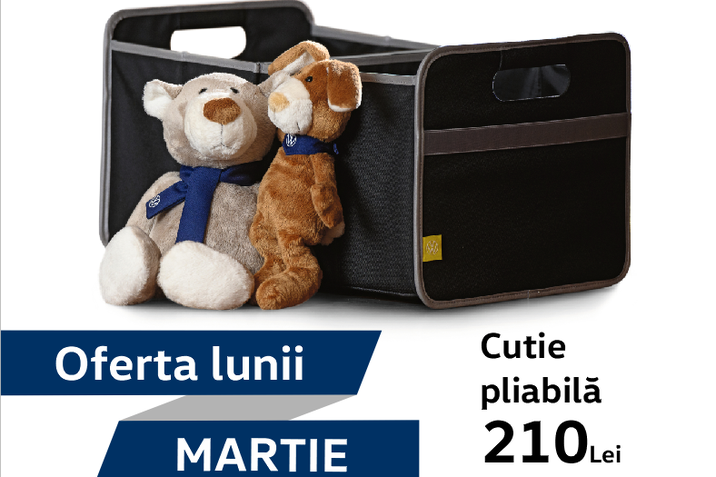 Oferta lunii