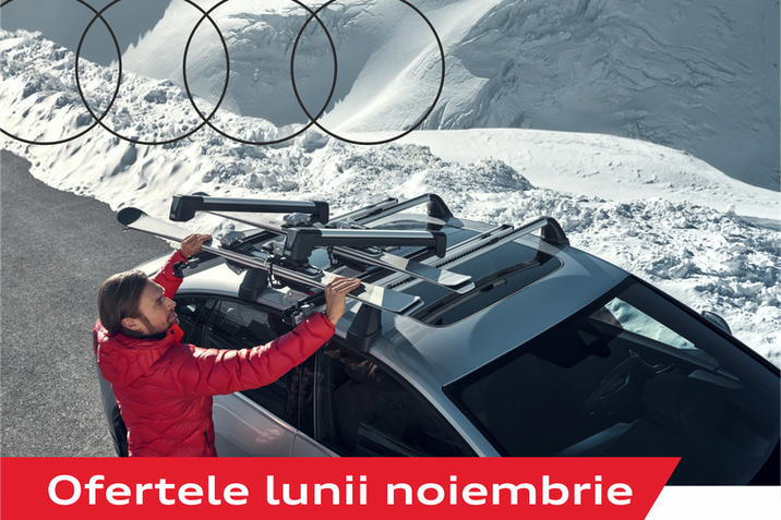 Oferta lunii