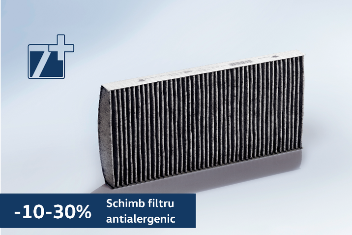 Segmentul 3