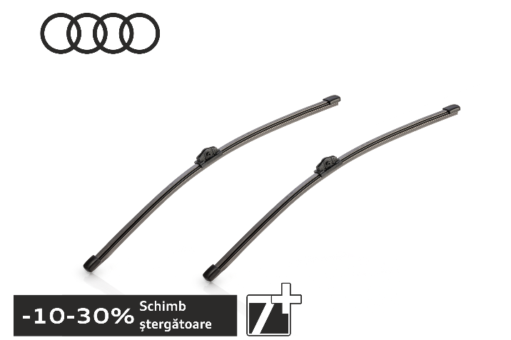 segmentul 3